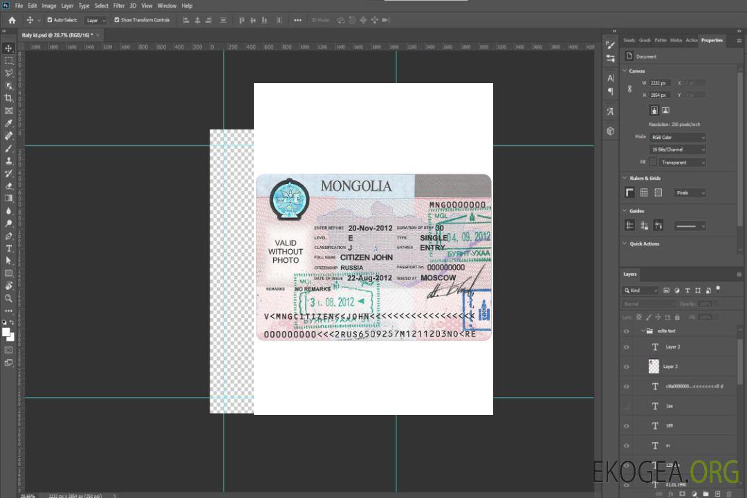 Visa MONGOLIE template